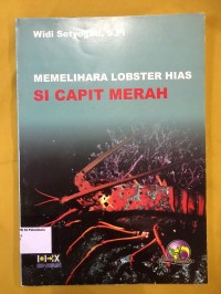 Image of Memelihara Lobster Si Capit Merah