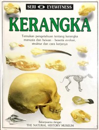 Image of Seri Eyewitness : Kerangka